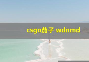 csgo茄子 wdnmd